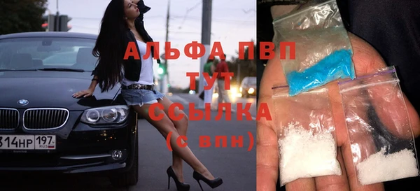 ПСИЛОЦИБИНОВЫЕ ГРИБЫ Богданович