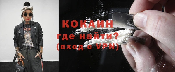ПСИЛОЦИБИНОВЫЕ ГРИБЫ Богданович
