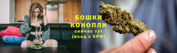 стаф Богородицк