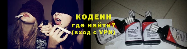 стаф Богородицк