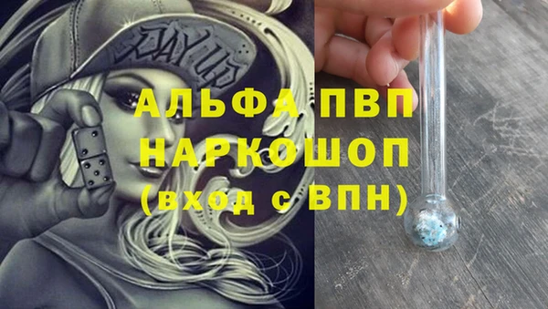 ПСИЛОЦИБИНОВЫЕ ГРИБЫ Богданович