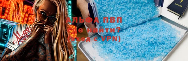 стаф Богородицк