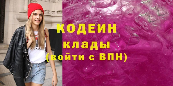 ПСИЛОЦИБИНОВЫЕ ГРИБЫ Богданович