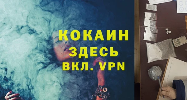 ПСИЛОЦИБИНОВЫЕ ГРИБЫ Богданович