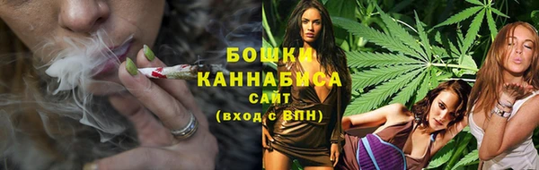 ПСИЛОЦИБИНОВЫЕ ГРИБЫ Богданович