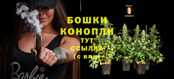 стаф Богородицк
